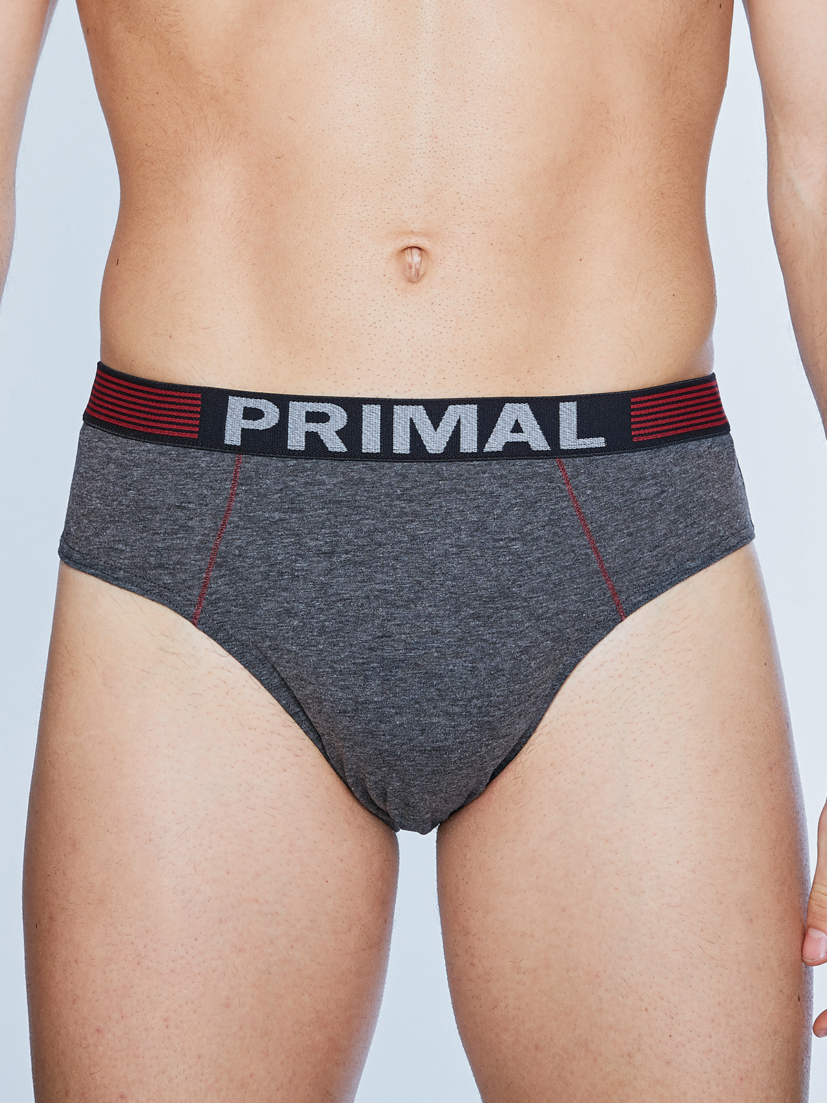 Трусы мужские Primal PRIMAL S195 (3 шт.) slip серый/серый/серый